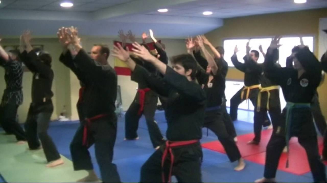 Esto es Hapkido Moo Hak Kwan Spain