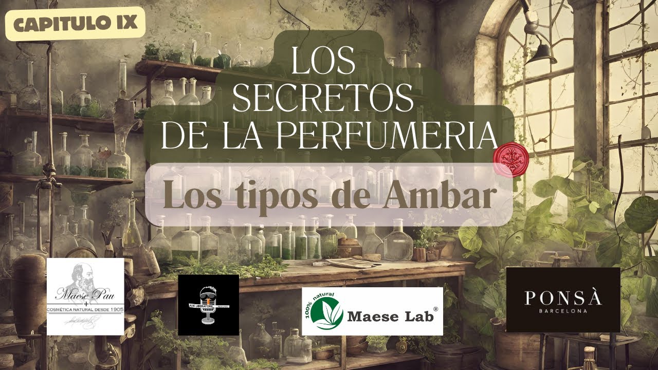 El ambar y sus declinaciones - Los Secretos de la Perfumería CAP 9