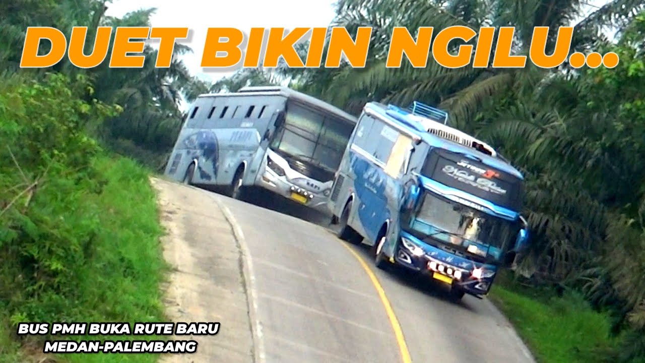 Suara Marcedes Bus PMH Gahar Om ||Inilah Aksi Seru Dua Bus Dari Utara Ini Menggoyang Lintas Timur