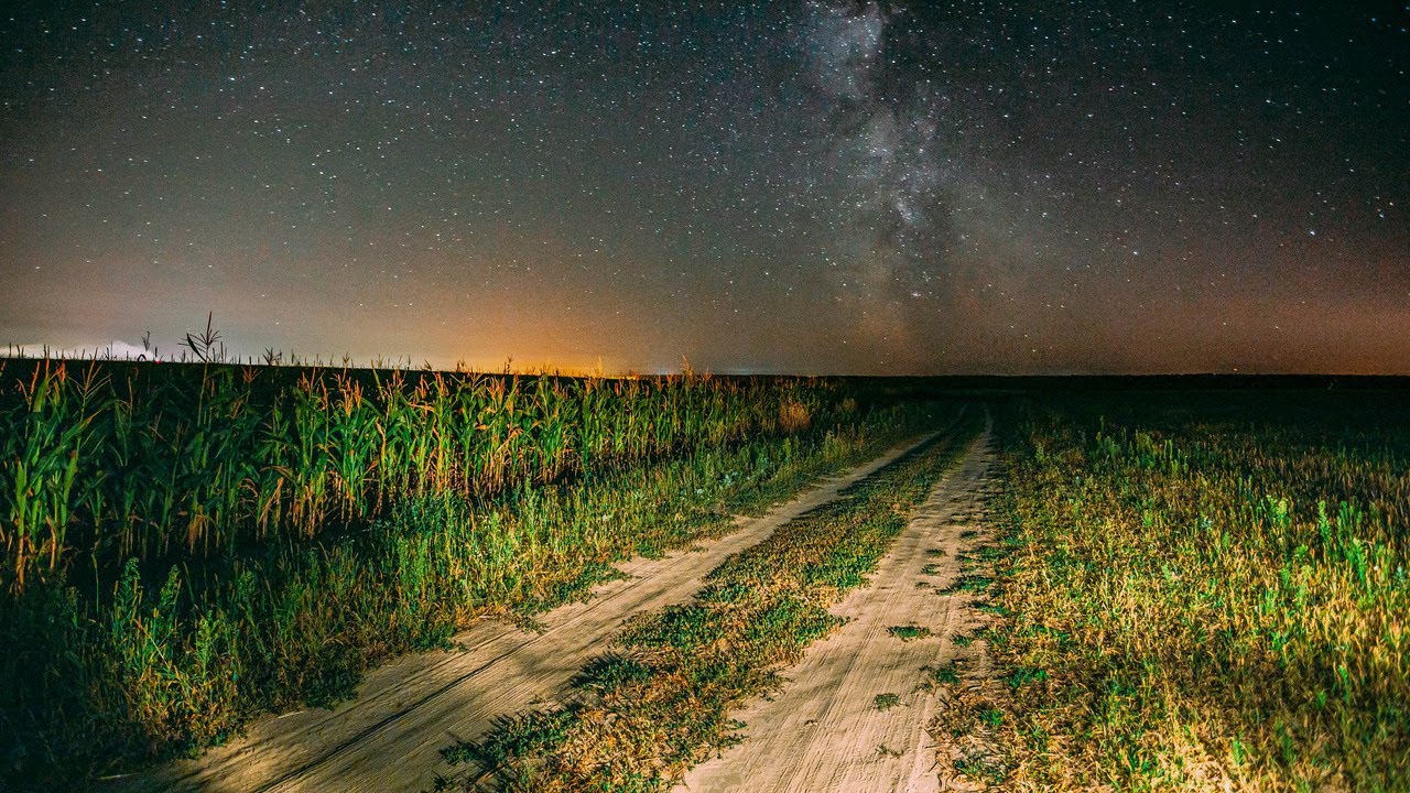 Summer Night - Crickets Chirping (Calming Nature Sounds-NO ADS) - 1 hour