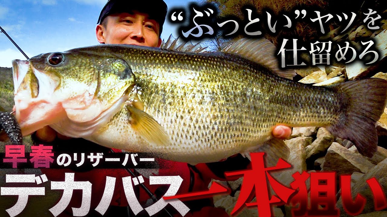 【バス釣り】春のデカバス一本狙い - 強烈バイトを見逃すな！【赤松健】