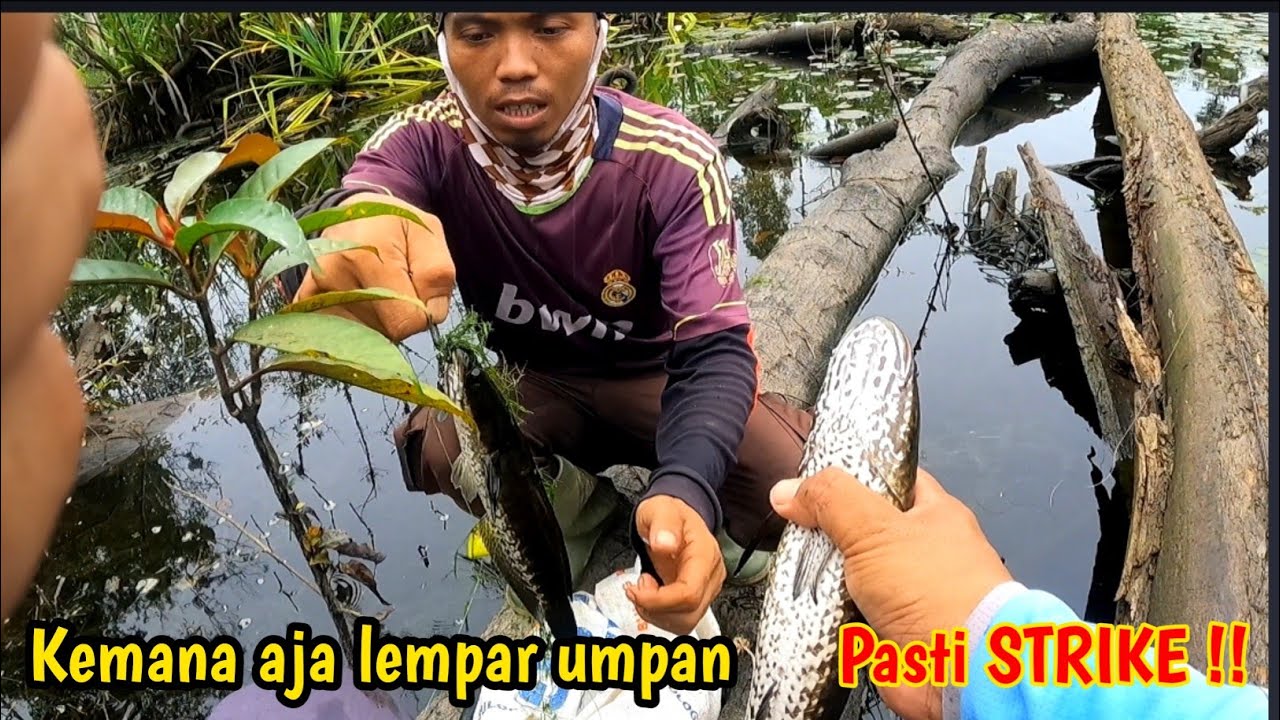 SPOT MANCING IDAMAN PARA ANGLER KE MANA AJA LEMPAR UMPAN PASTI DI SAMBAR
