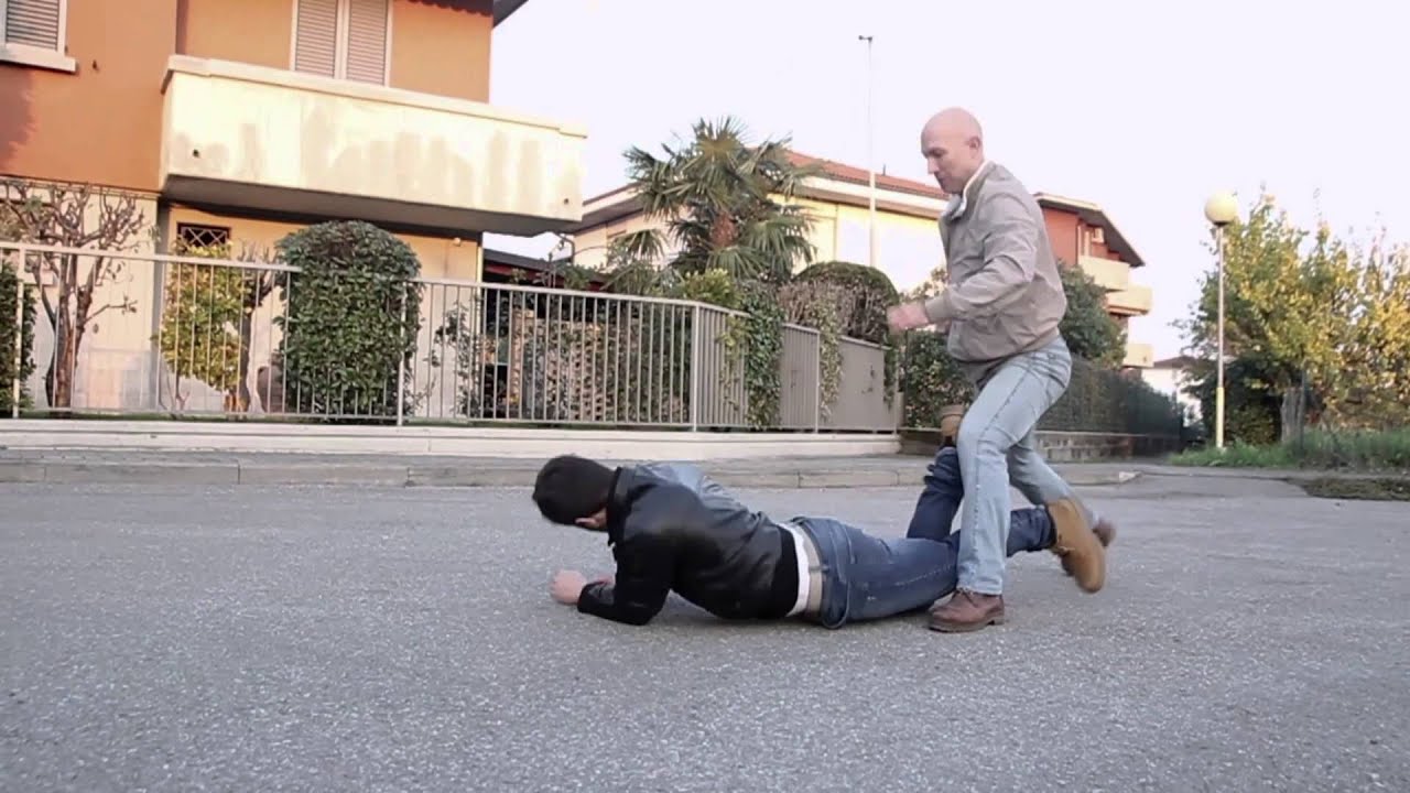 Choy Lay Fut - Street Fighting Strategy (蔡李佛 - 德 尼 蒂 斯 功夫 )
