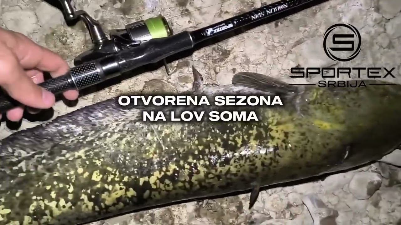 Sportex Nobun Spin #fishing #spiningfishing #spiningfishing #fish #sportex #wildlife #angler