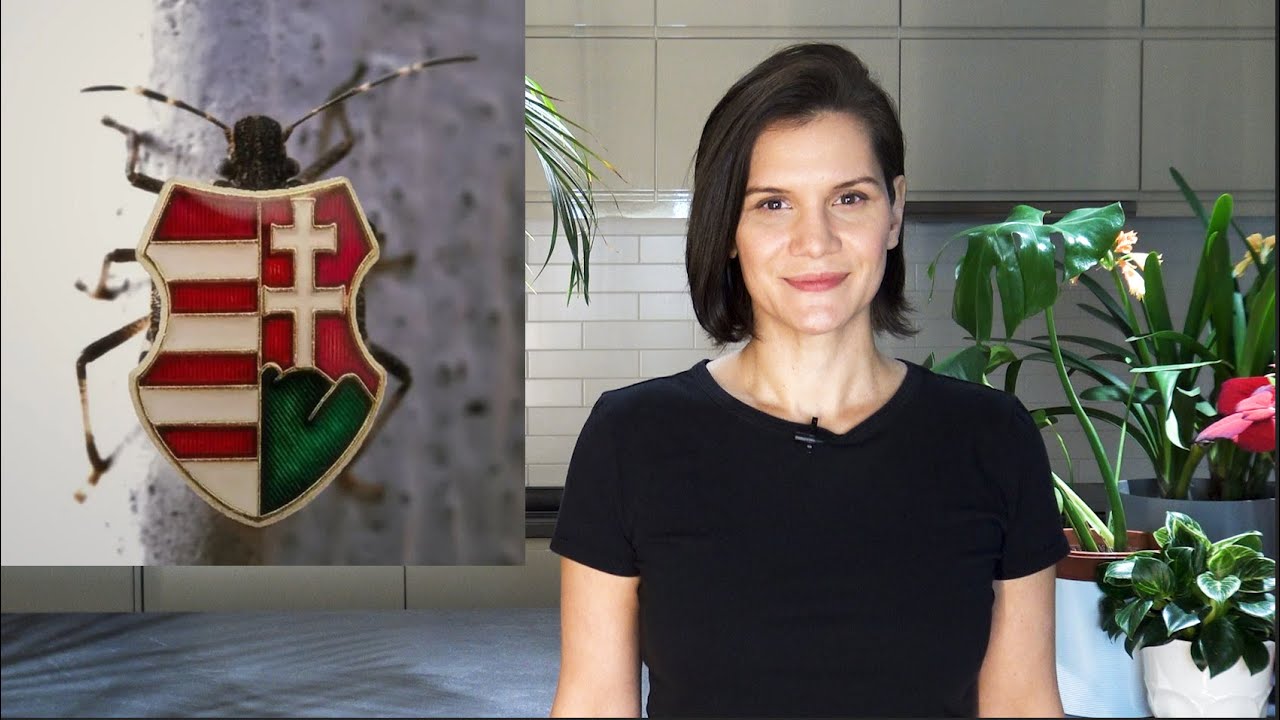 Had&uuml;zenet a polosk&aacute;knak; Egyre kevesebben Orb&aacute;n m&ouml;g&ouml;tt; Magyar P&eacute;ter, az operettherceg