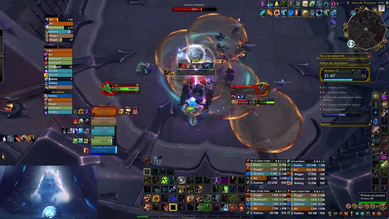 Salle de l'Expiation +12 Druide Gardien Tank 11.2 TWW S3