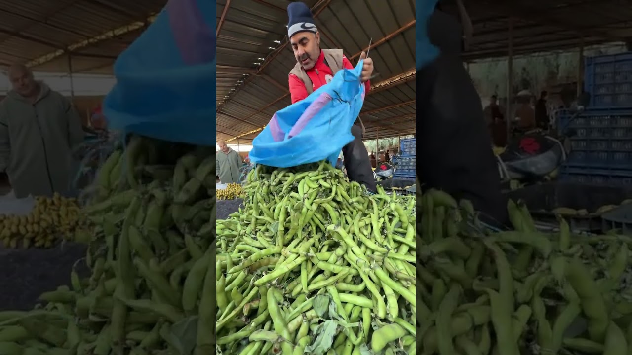سوق الخضر والفواكه من الكردان أسواق هوارة