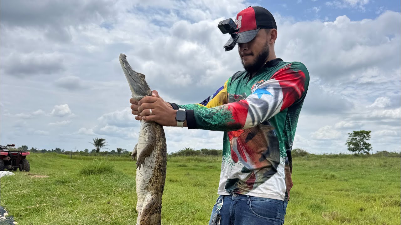 Pescaria do pirarucu mandamos jacaré para casa