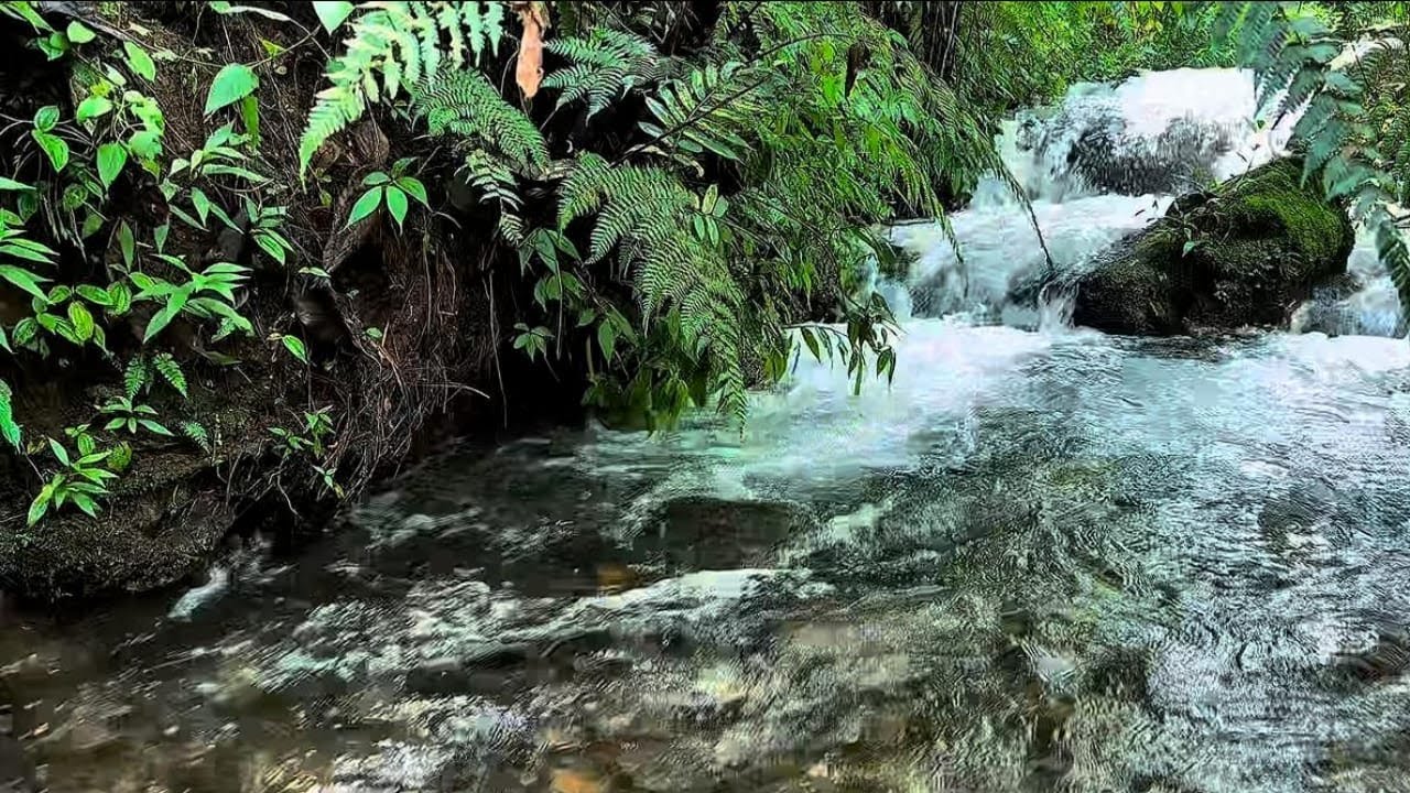 Gentle River Sounds for Sleeping | Soothing River Sounds from Blubuk hulu