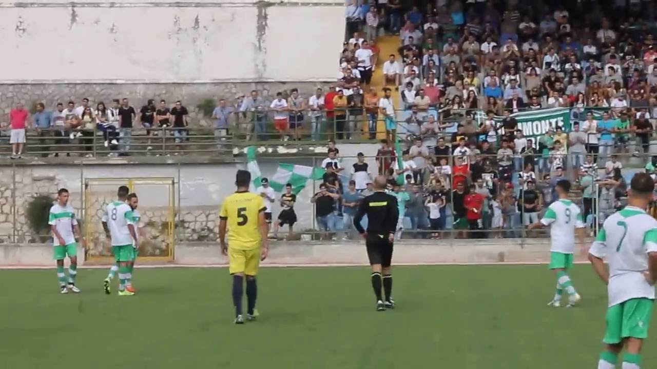 TRE PINI - ALLIPHAE: IL RITORNO IN CAMPO DI DANIELE NAPOLETANO