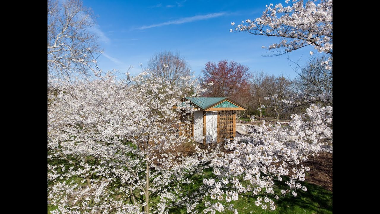Virtual Garden Tour: March 30, 2020