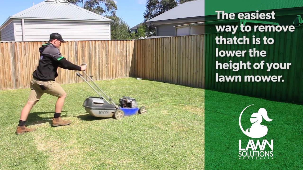 How to remove thatch from your lawn | Dethatching