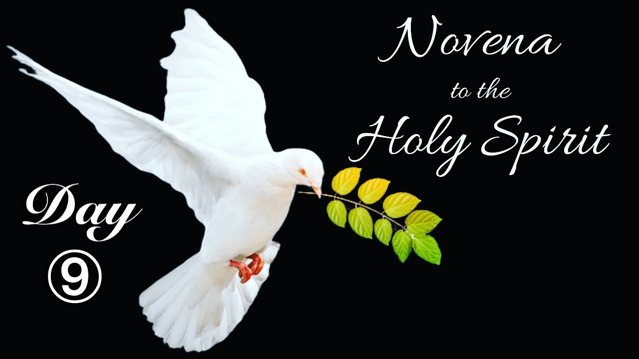 Novena to the Holy Spirit | Day 9