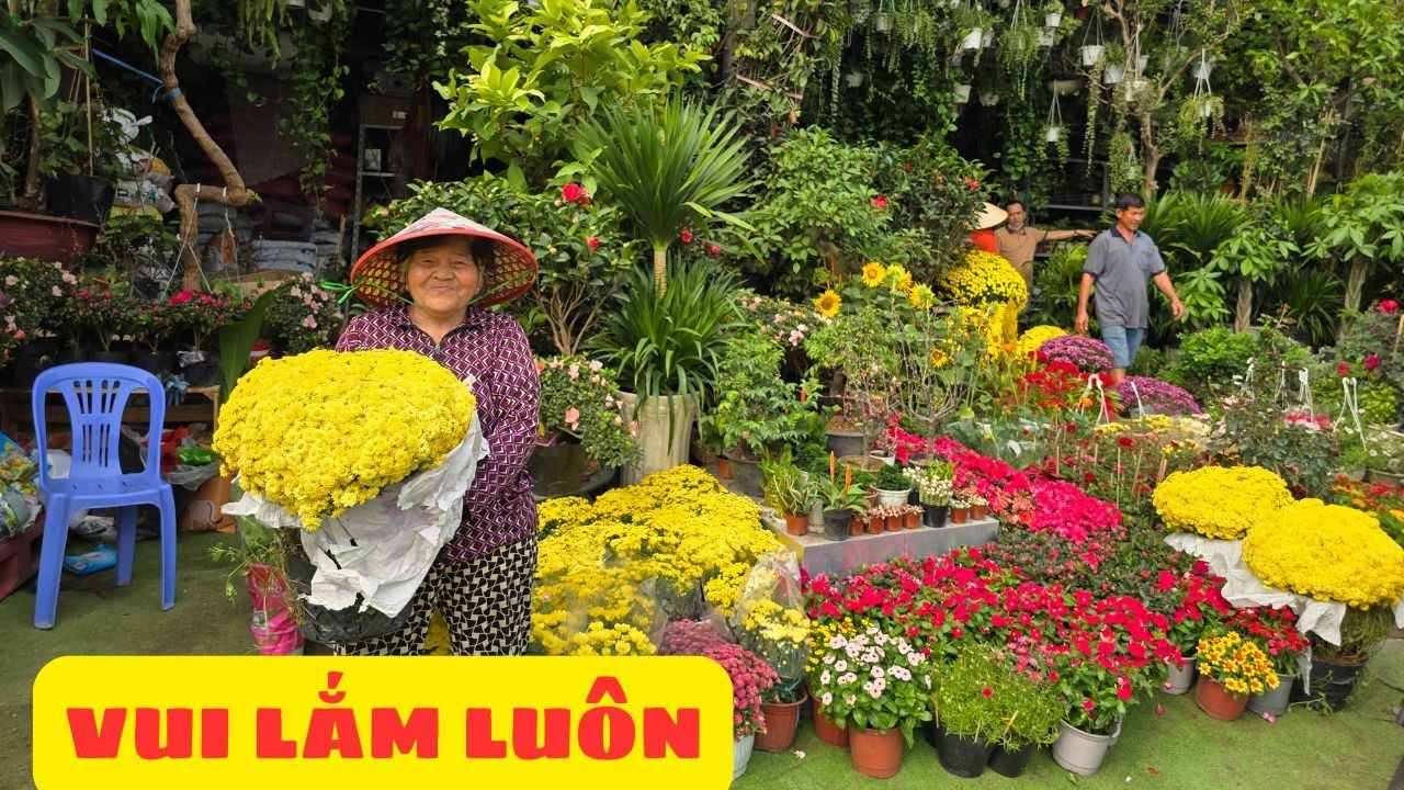 Người dân đổ xô đi mua bông Tết, các chủ vựa hoa ở Sài Gòn phấn khởi ra mặt