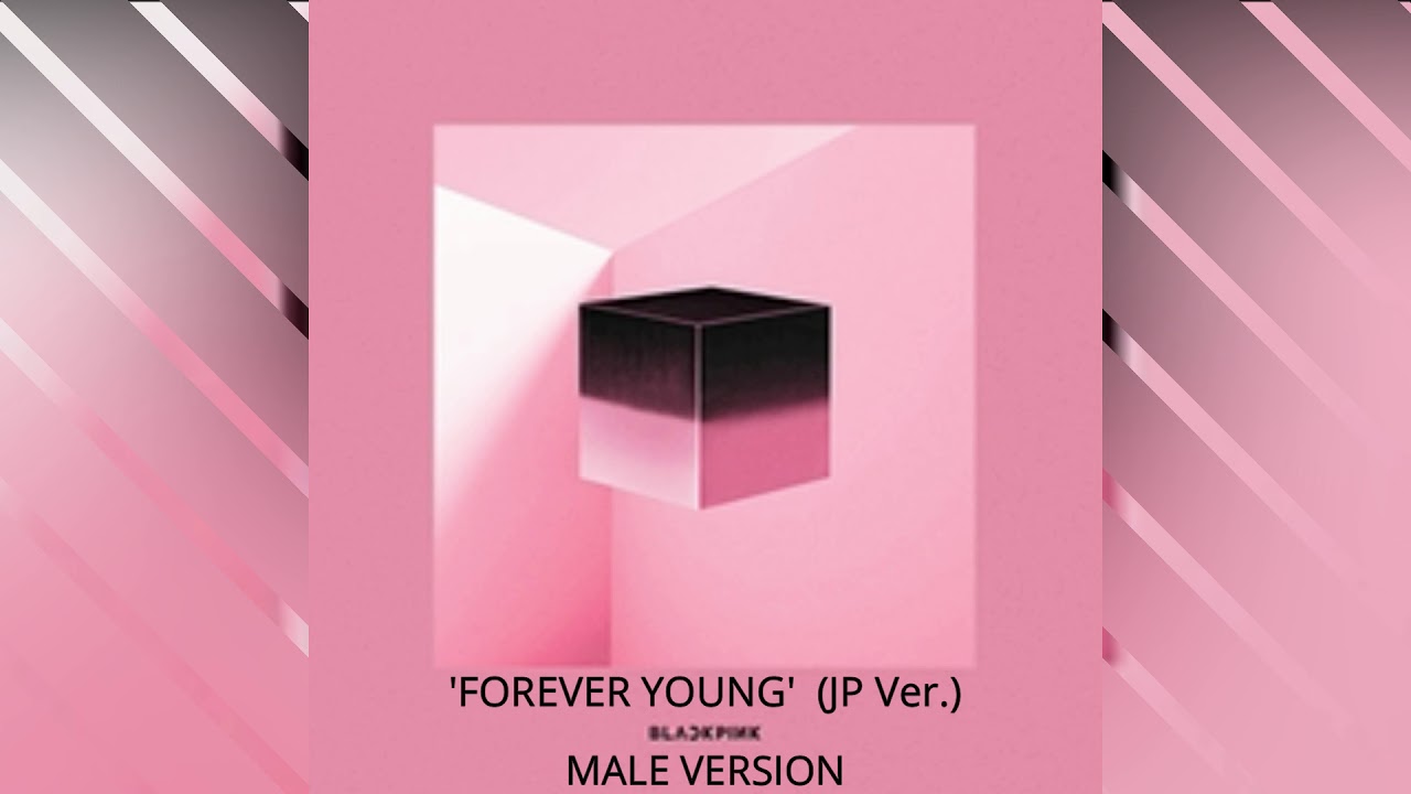 MALE VERSION | BLACKPINK 'FOREVER YOUNG' (JP Ver.)