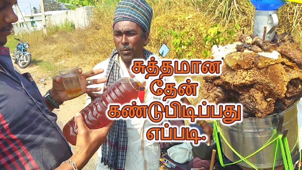 How To Check Original Hills Honey Is Pure Or Not சுத்தமான தேன் கண்டுபிடிப்பது எப்படி