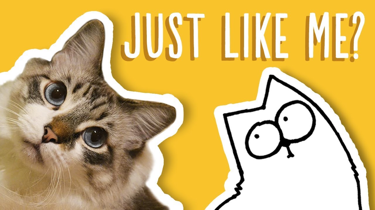 Just Like My Cat - Simon's Cat Snaps | FAN VIDEOS