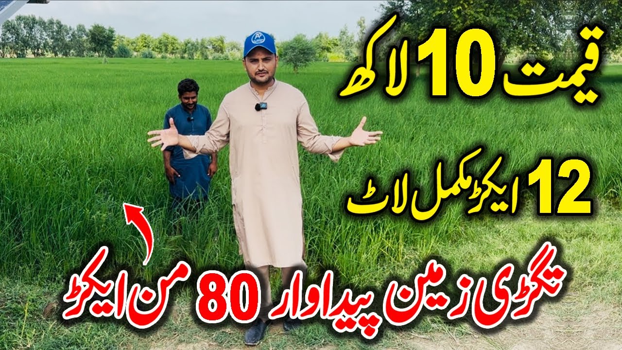100 Acer Agriculture Land | Agriculture Land in Pakistan | Zarkheez Zameen in Pakistan | 
