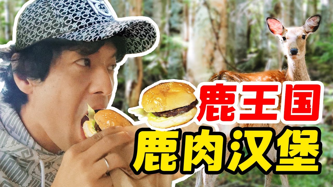 日本北海道动物王国之旅！鹿鹿这么可爱怎么可以吃鹿鹿呢？！【纵贯日本04】