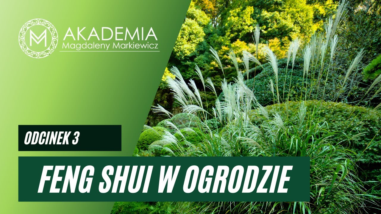 Feng Shui w ogrodzie. Odc. 3