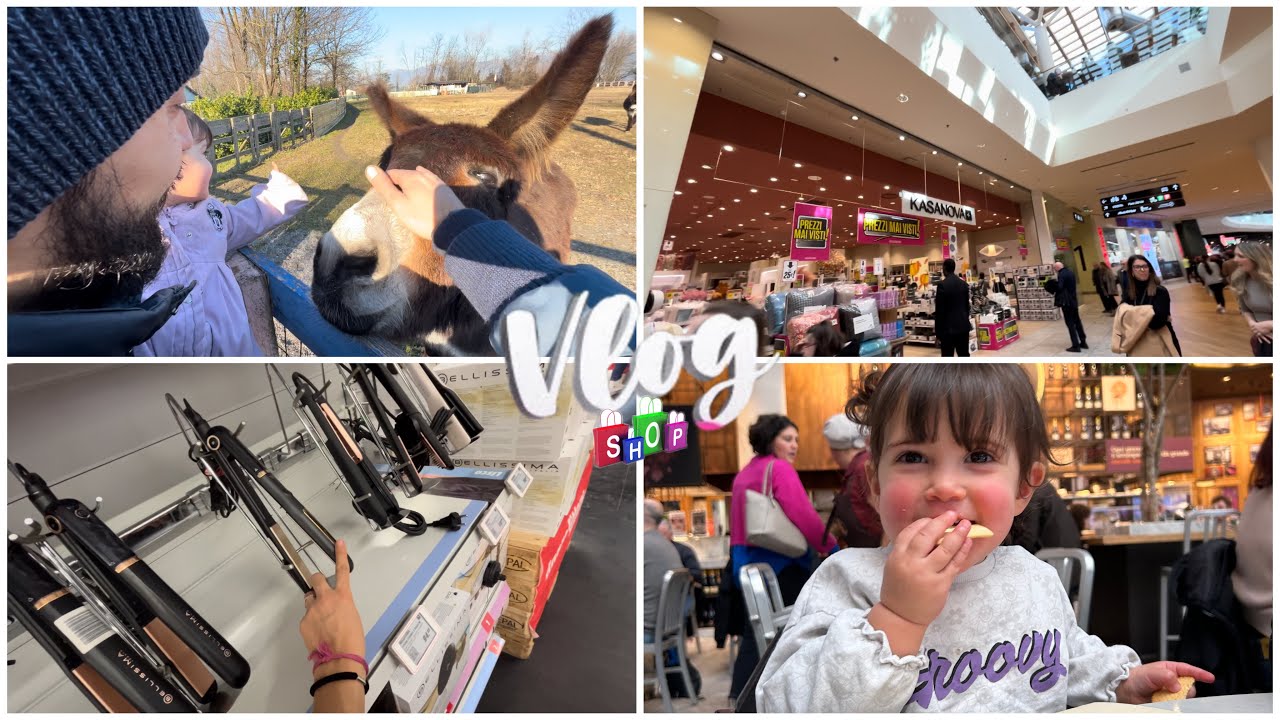 VLOG/  ANDIAMO A “IL CENTRO” ad ARESE🛍️💸