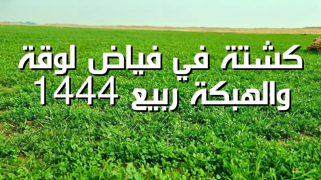 كشته في فياض لوقة والهبكة ربيع 1444 ربيع رفحاء
