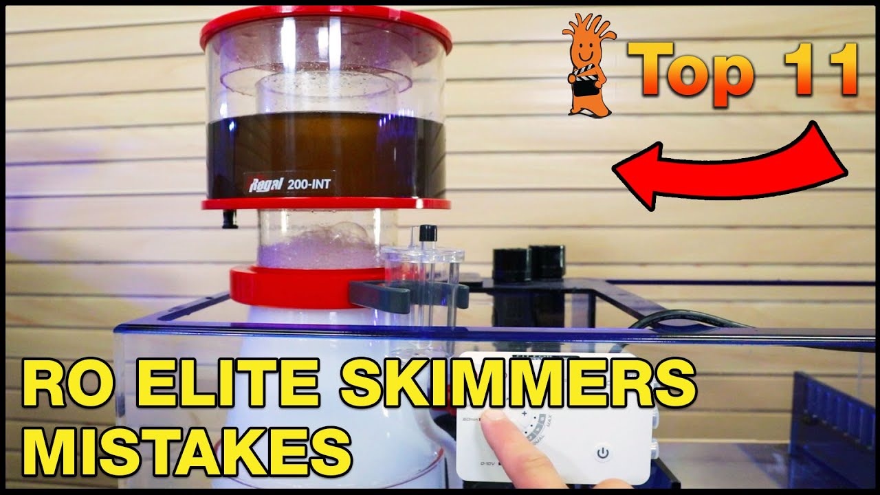 Are You Using Them Right? What's the Deal With These Reef Octopus Regal & Elite Protein Skimmers?