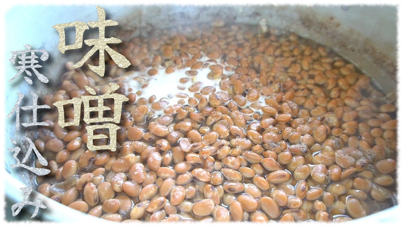 「炊きが勝負」手作り味噌：寒仕込み②Japanese miso making