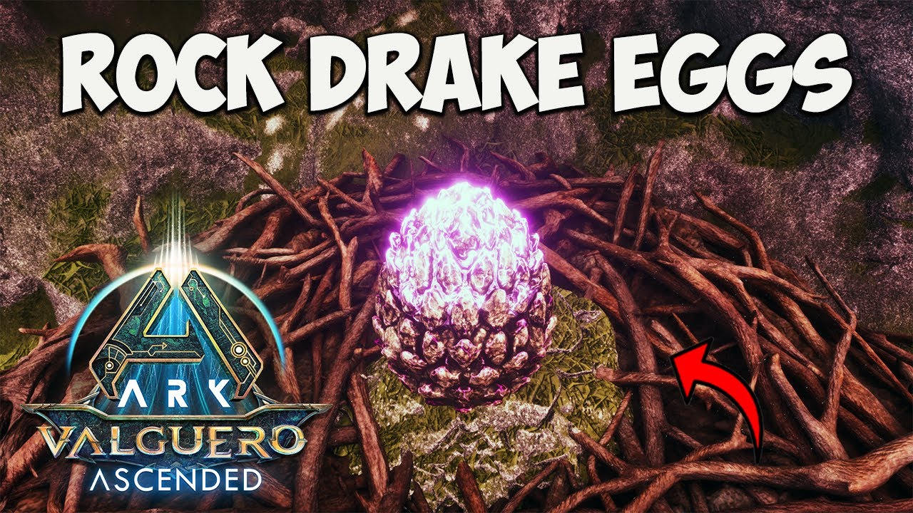 Расположение яиц скального дрейка VALGUERO — где их найти в ARK Survival Ascended
