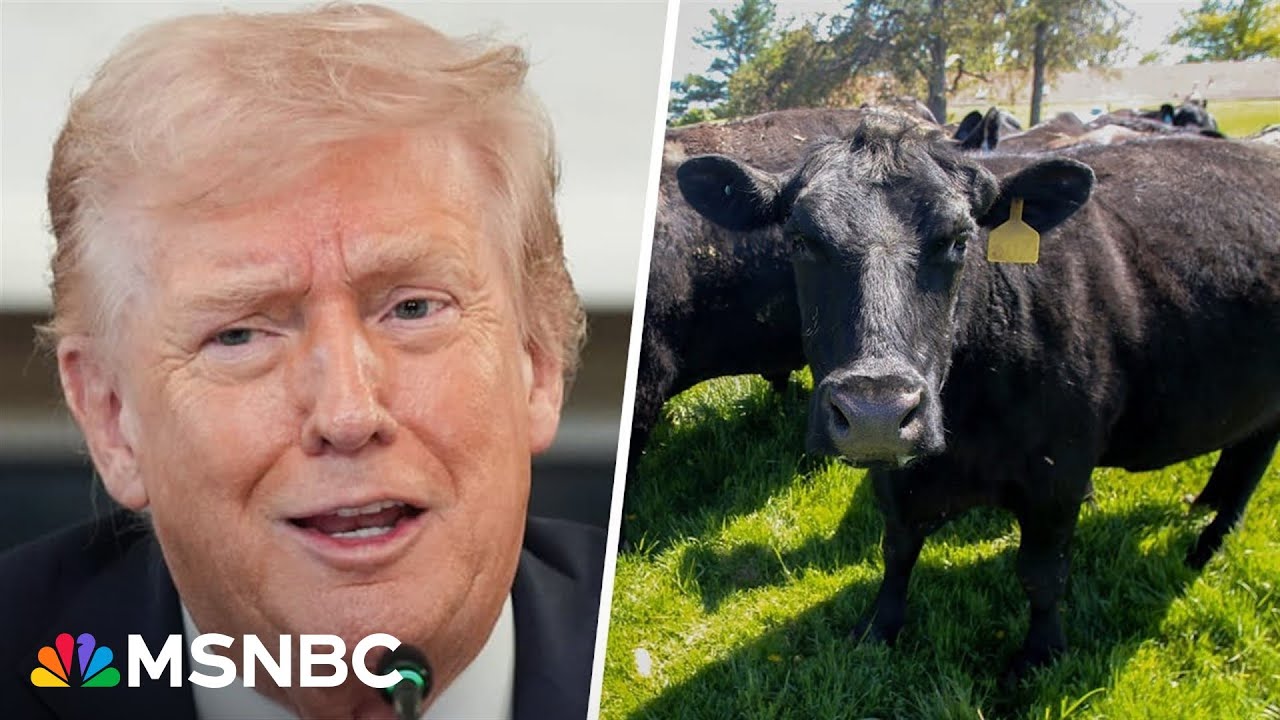 U.S. cattle ranchers heated over Trump’s plan to quadruple beef imports from Argentina