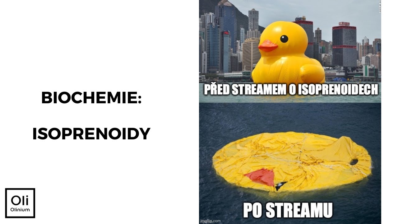Isoprenoidy - biochemie