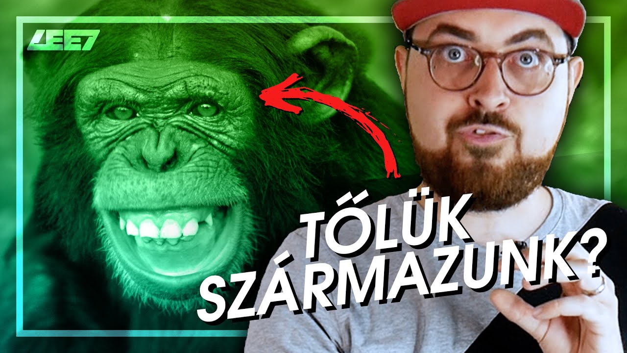 Kinek adják a DARWIN DÍJAKAT? | NETLEGENDÁK #9