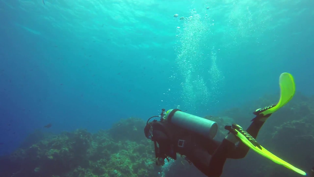 Cozumel amazing scuba diving underwater adventure in Mexico buceo Mexico part 2