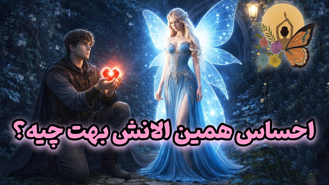 انرژی تراپی پروانه - احساس همین الانش بهت چیه؟