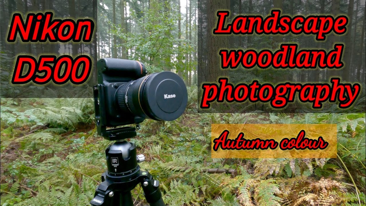 Landscape Woodland photography. my manual focusing technique with the nikon D500