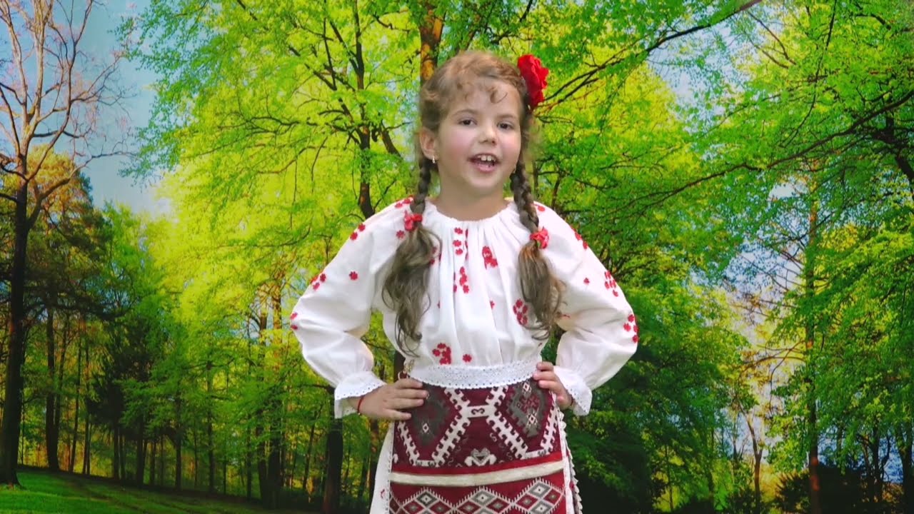 Sara Parcalabu   Pe campul cu florile