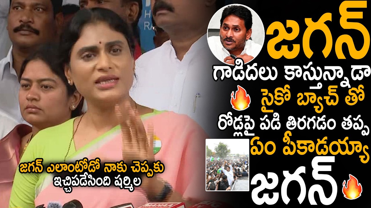 YS Sharmila Serious Counter To YS Jagan Over His Negligence On Public | CM Chandra Babu | Sahithi Tv