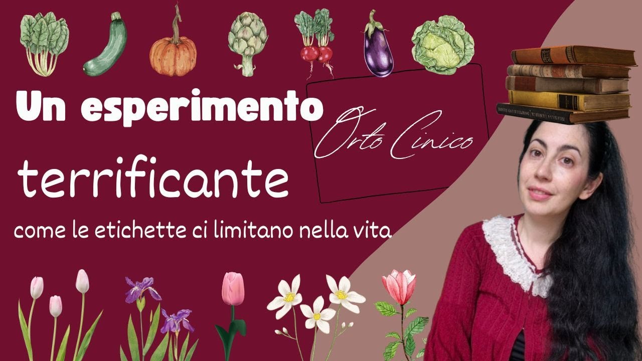 Cambierà il tuo modo di vedere le cose