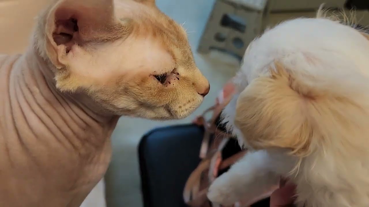 폭력은 절대 않되요