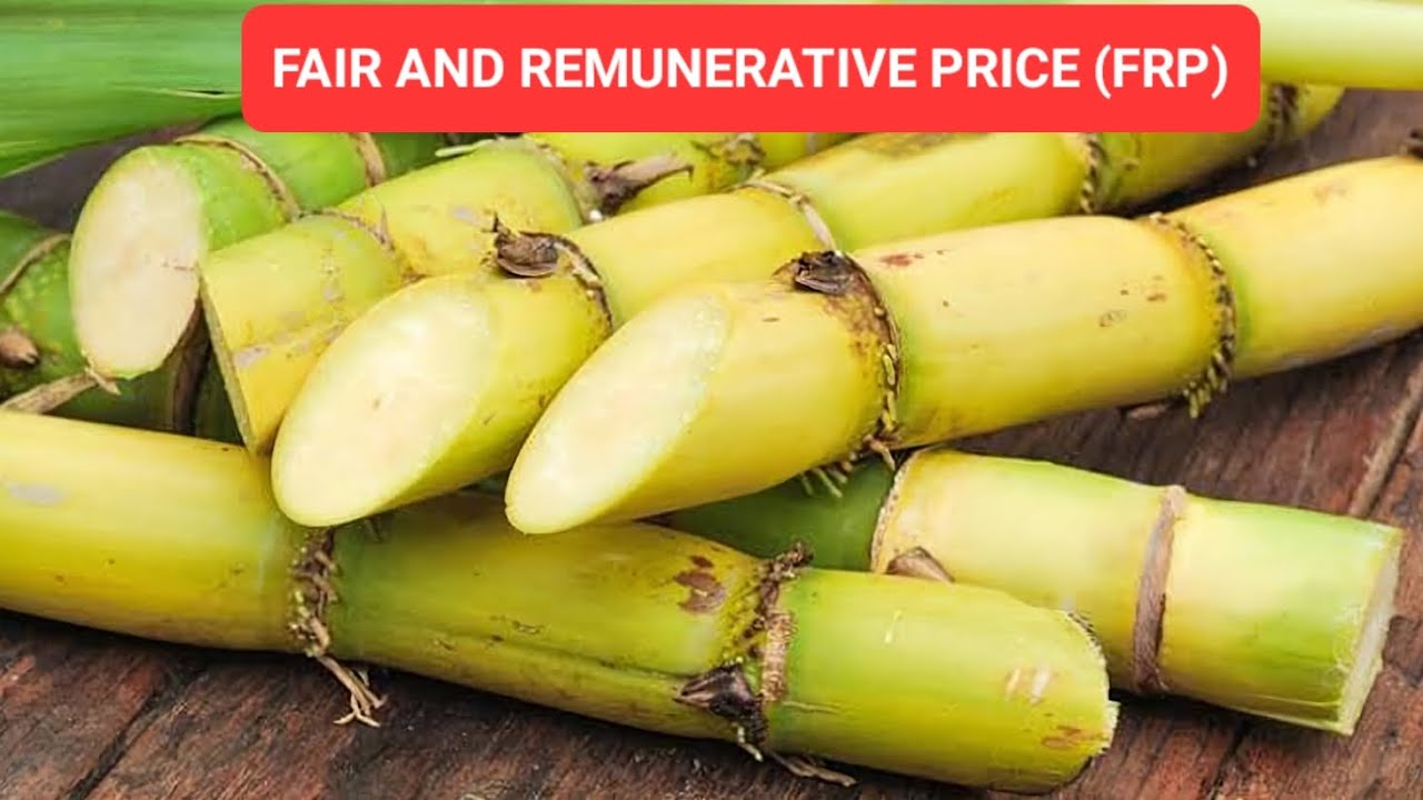 FAIR AND REMUNERATIVE PRICE (FRP)EXPLAINED