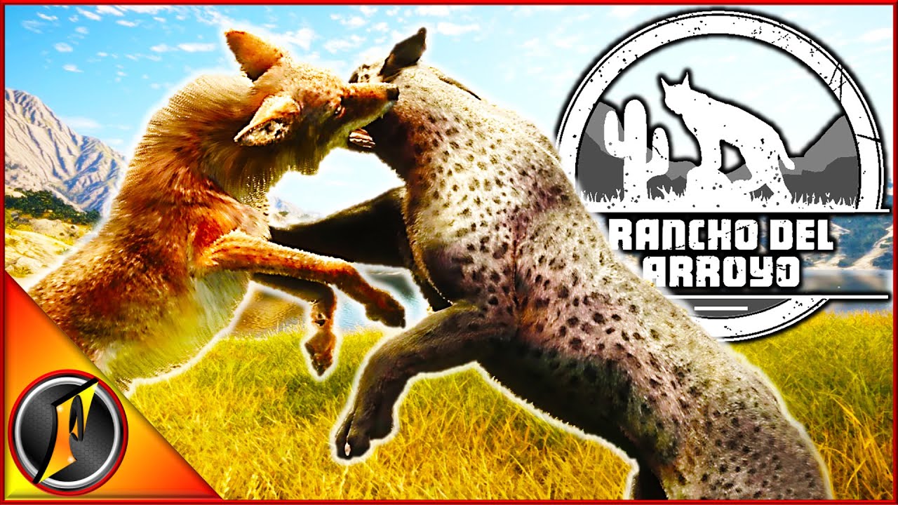Hunting Trophies for the New Multimounts on Rancho Del Arroyo!