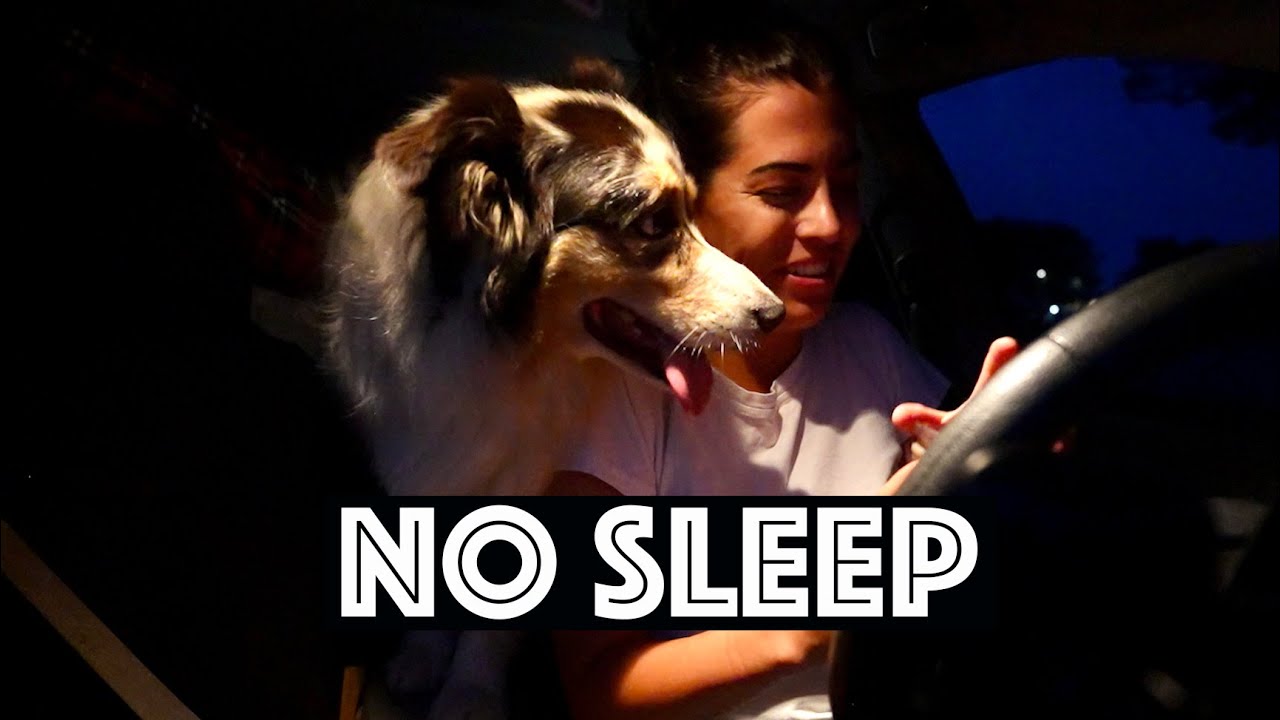 I Pulled An All Nighter | Living In A Car