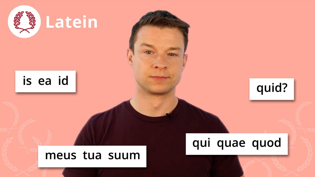 Pronomen in Latein: ein Überblick – Latein | Duden Learnattack