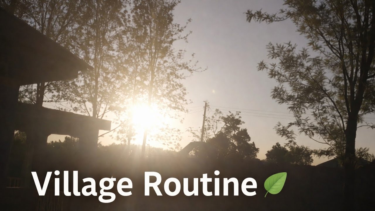 A simple village routine 🌿 | Evening chores, sunset & morning chores