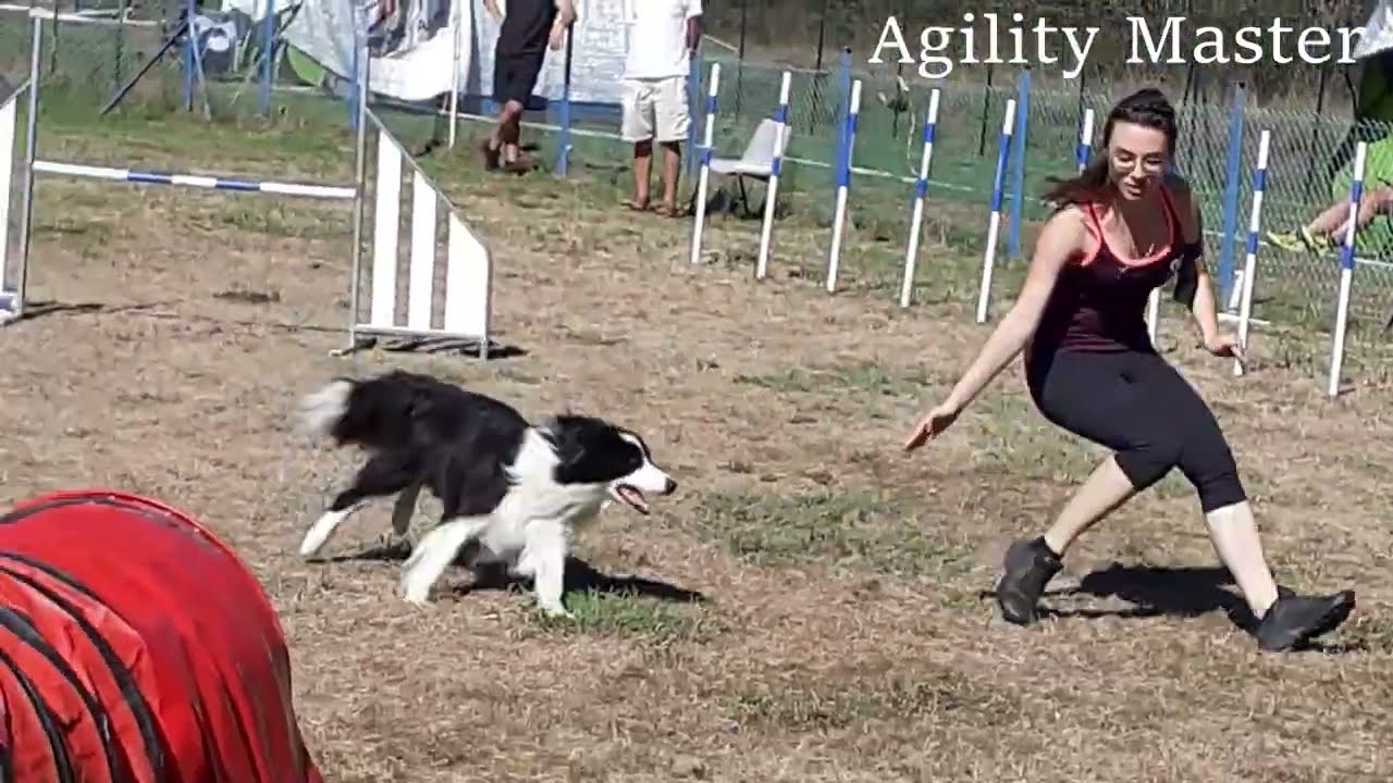 AGILITY | Sélectif Grand Prix de France 2022| Bimka Border Collie