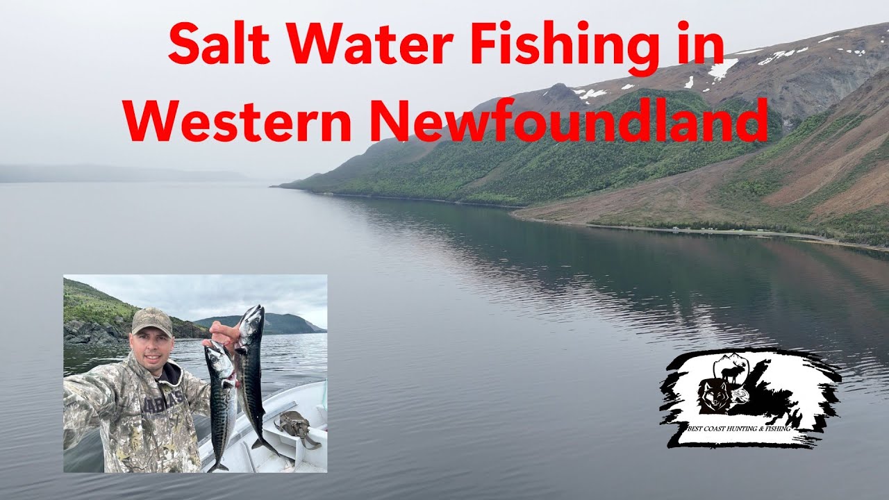 Salt Water Trolling in Western Newfoundland