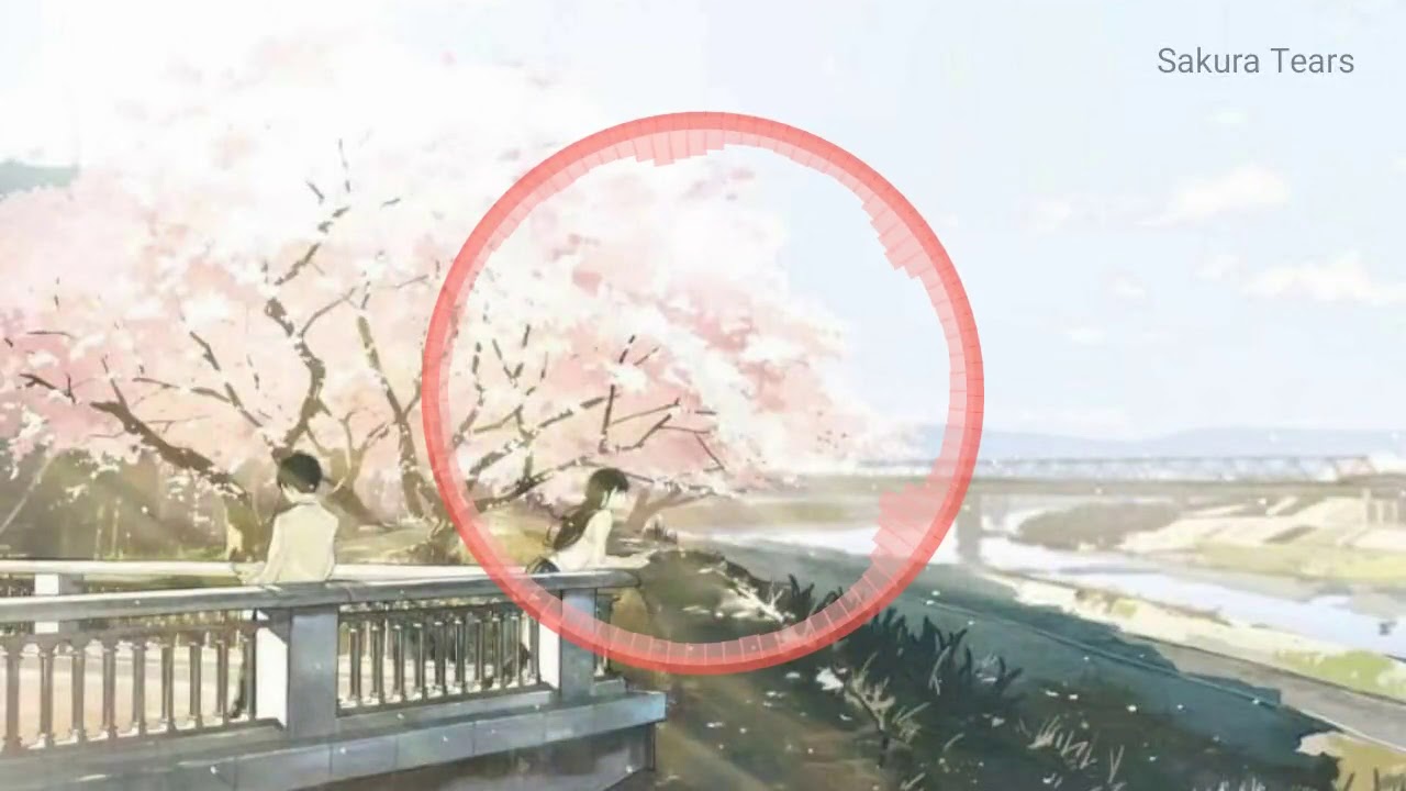 纯音乐 Sakura Tears樱花泪－Snigellin