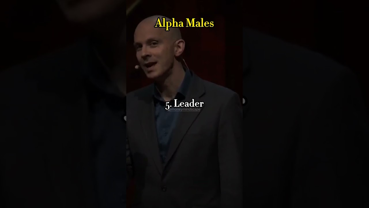 Sigma Males VS Alpha Males💪💪 (check my description) #shorts  #sigmamale  #alpha