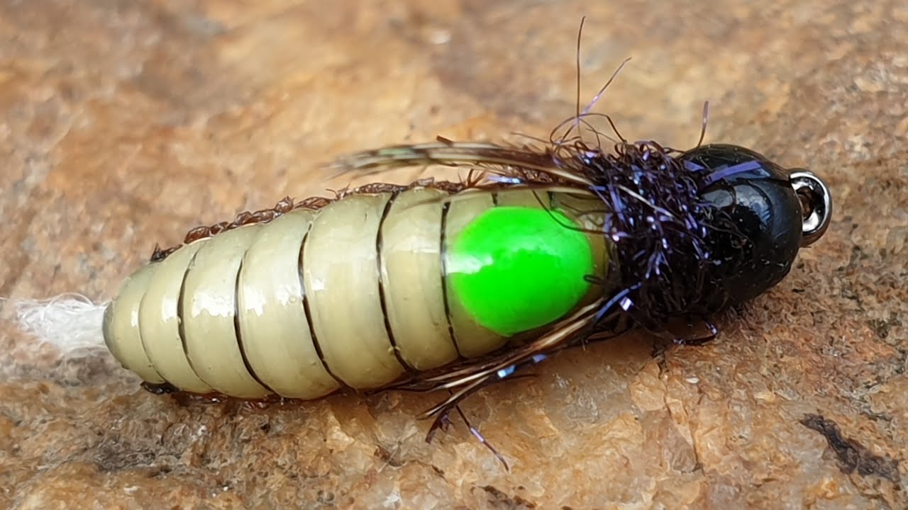 Fly Tying a Caddis Pupa/Variant