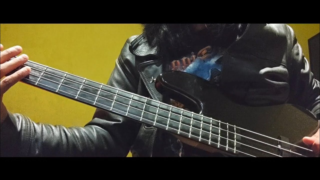 The Strokes - Hard to Explain Bass cover 